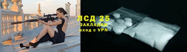 крисы Мегион