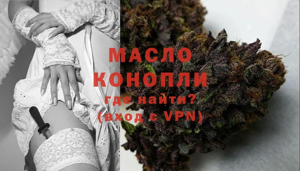 крисы Мегион