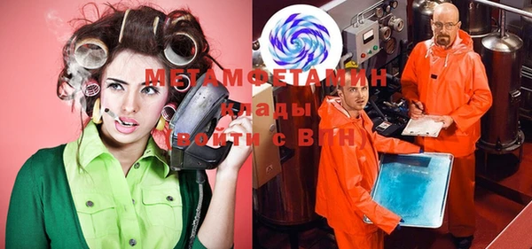 крисы Мегион