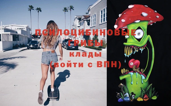 apvp Медвежьегорск