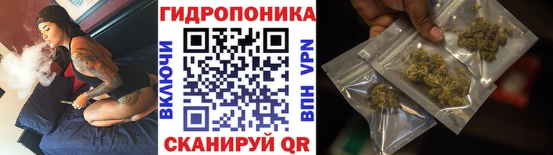 Купить закладки  Ирбит  Конопля сатива 